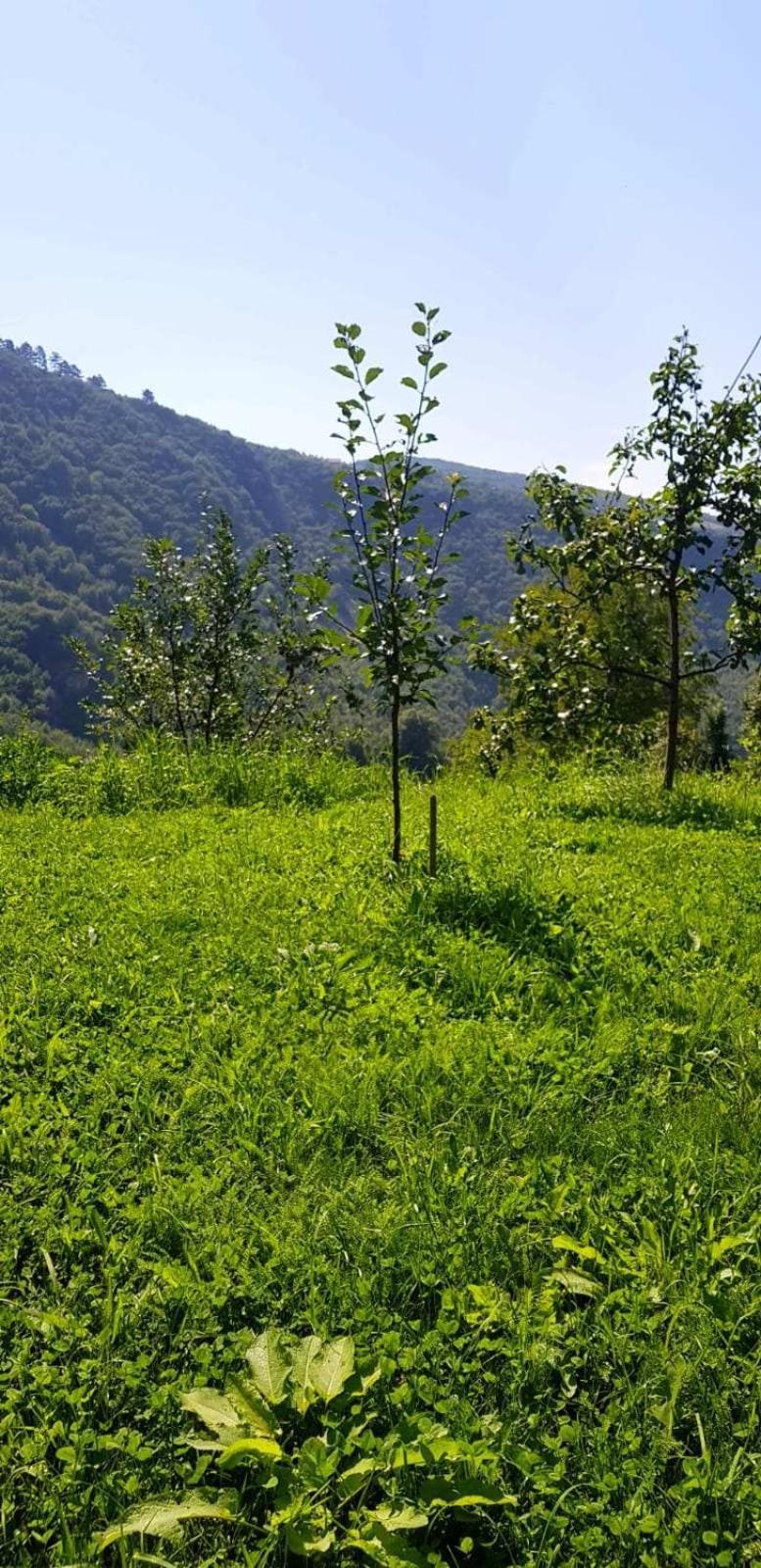 Family Apartment With Garden Сараево Экстерьер фото