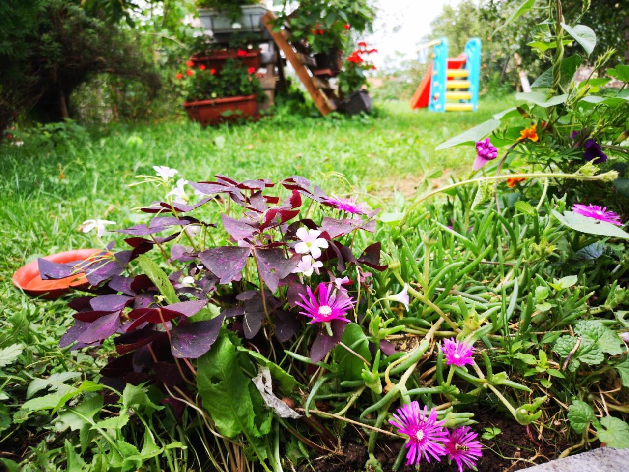 Family Apartment With Garden Сараево Экстерьер фото