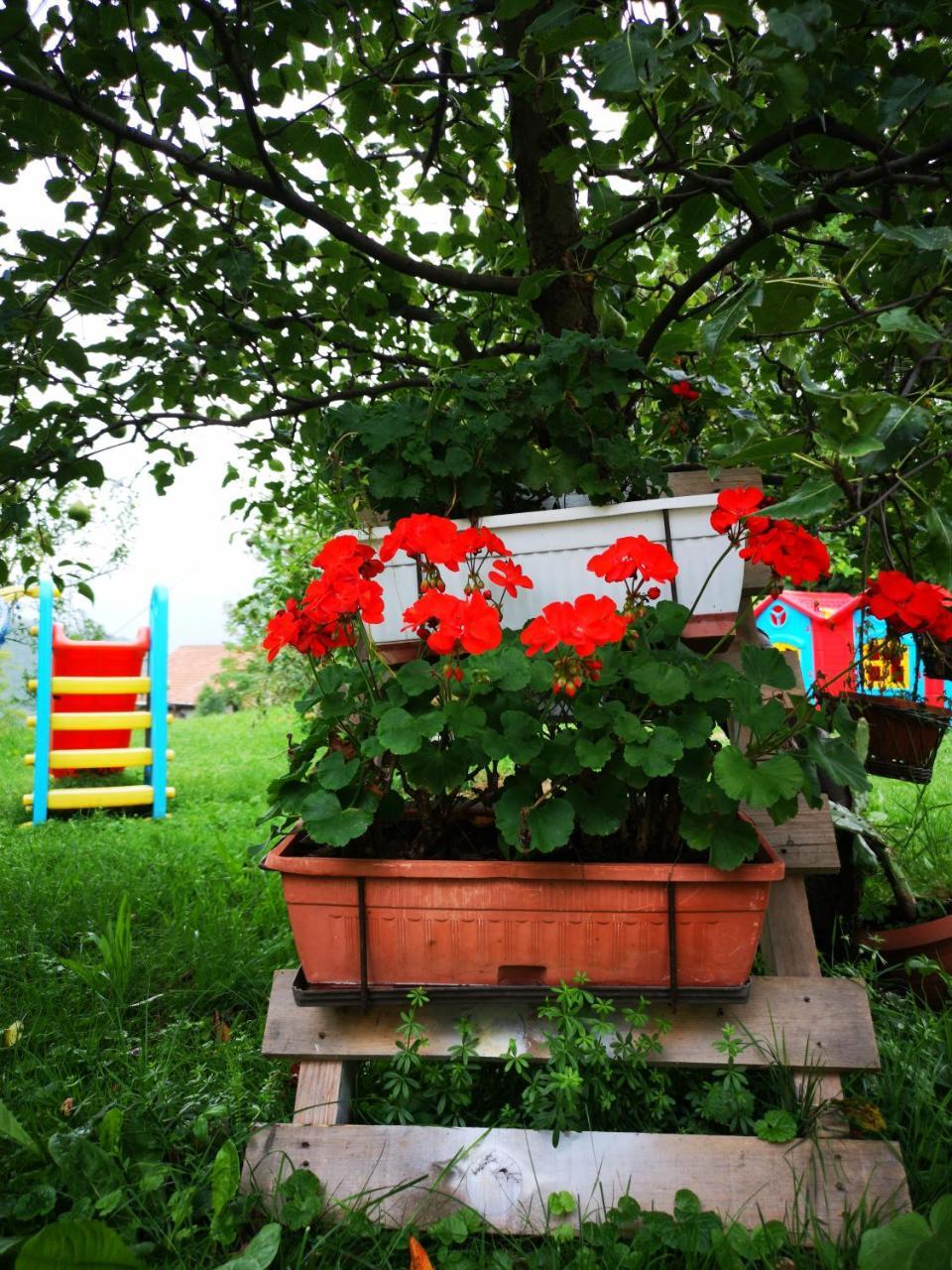 Family Apartment With Garden Сараево Экстерьер фото