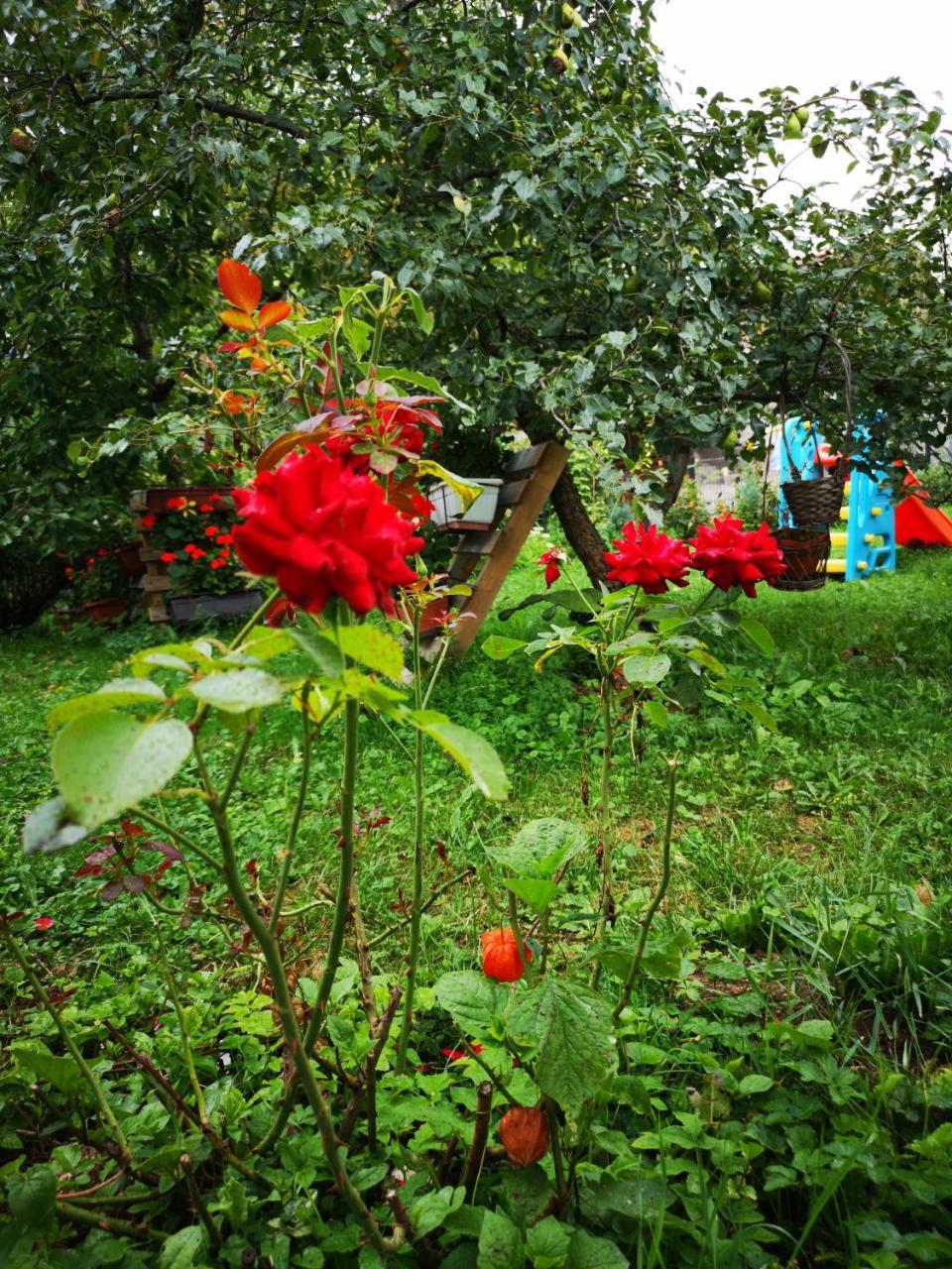 Family Apartment With Garden Сараево Экстерьер фото