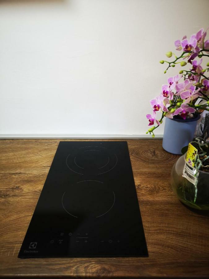 Family Apartment With Garden Сараево Экстерьер фото