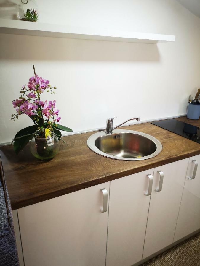 Family Apartment With Garden Сараево Номер фото